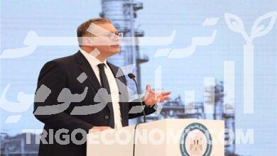 وزير البترول